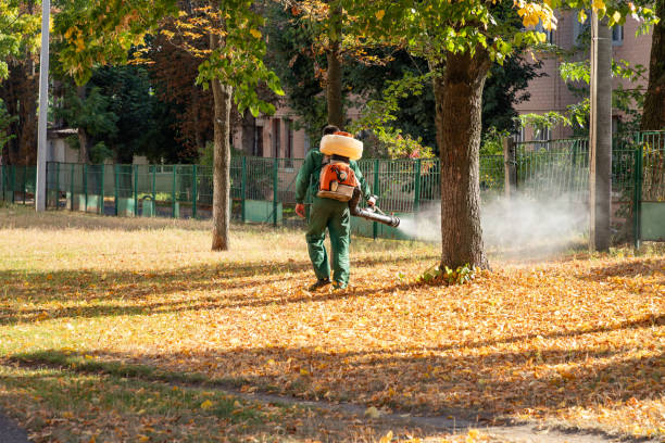 Professional Pest Control in Bayview, CA